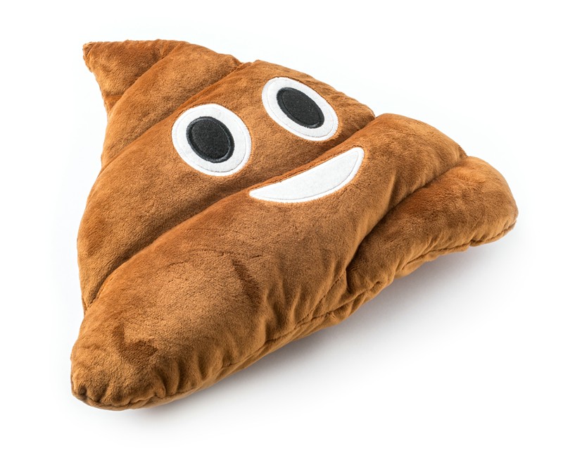 Polštář Hovno 