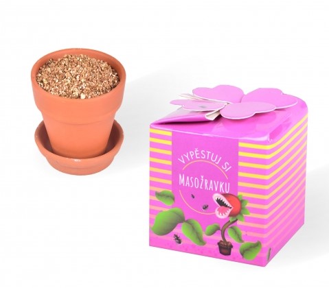 Vypěstuj si masožravku - květináček keramika