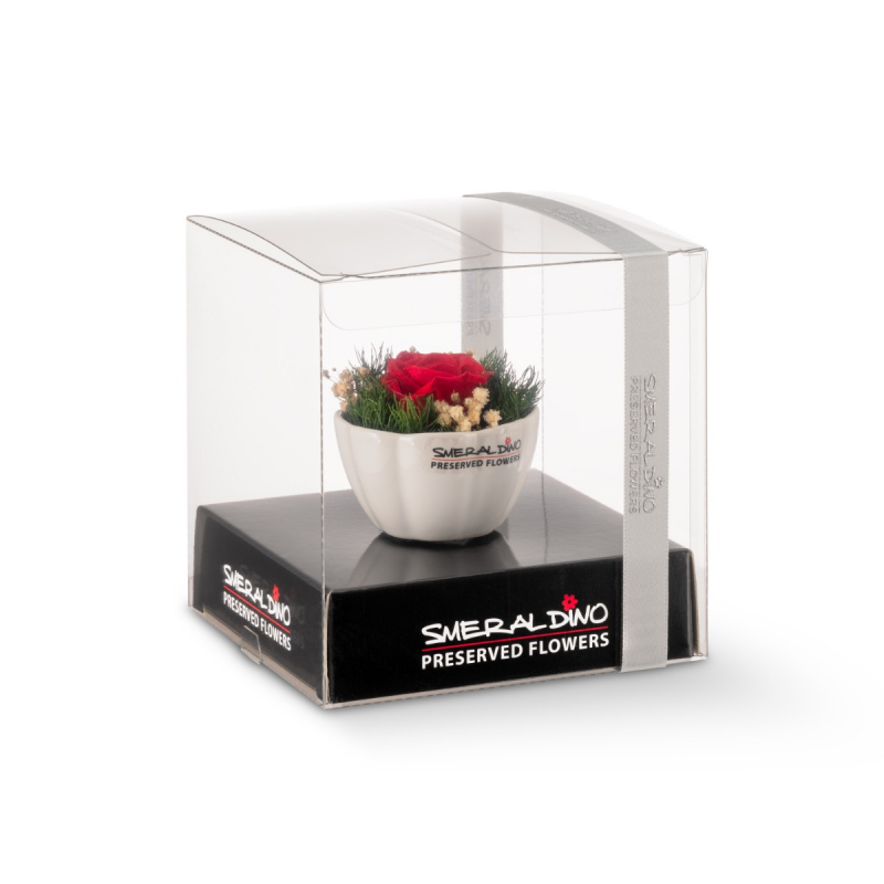 Aranž stabilizovaná růže Lily