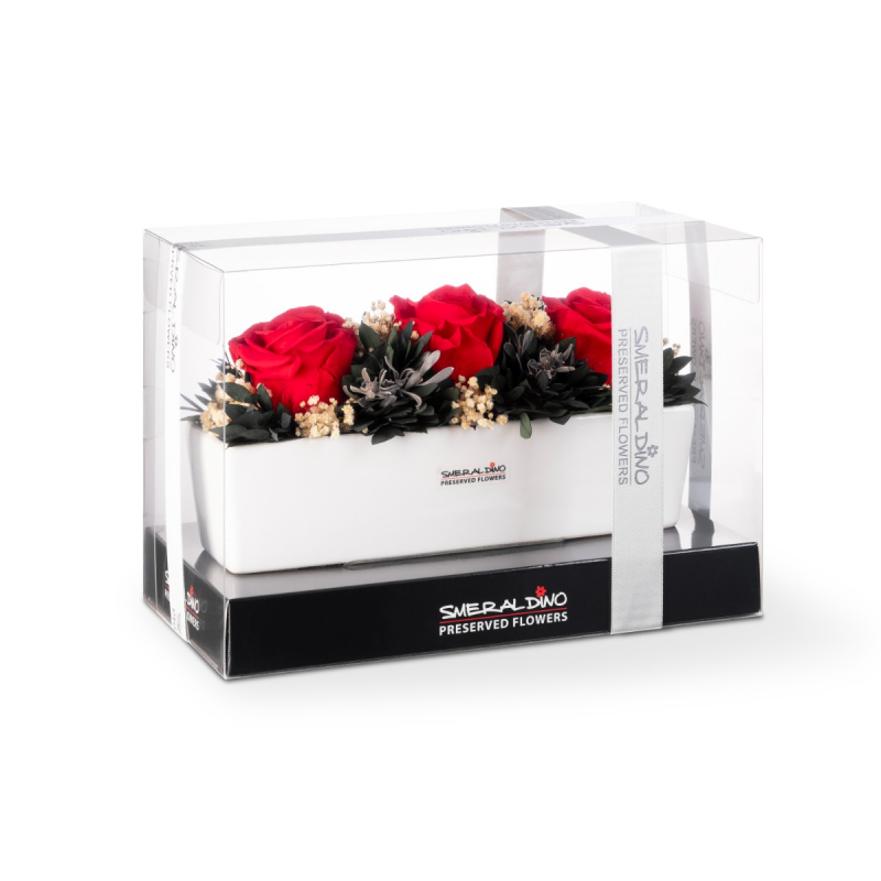 Aranž ELEN ČERVENÁ 